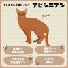 もしも、もあが猫だったら…?! : もあブログ