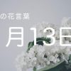 【1月13日】今日の花言葉 | レズ風俗キャストもあブログ
