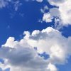 ❅皆様、お久しぶりです。シフトのお知らせです。❅ : ふゆねブログ