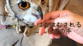Thumbnail of post image 163