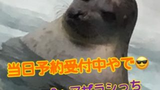 Thumbnail of post image 164