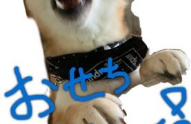 Thumbnail of post image 188