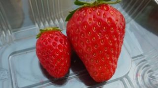 Thumbnail of post image 030