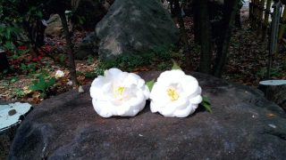 Thumbnail of post image 057