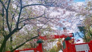 Thumbnail of post image 046