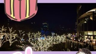 Thumbnail of post image 121