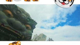 Thumbnail of post image 081