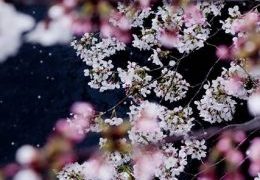 Thumbnail of post image 168