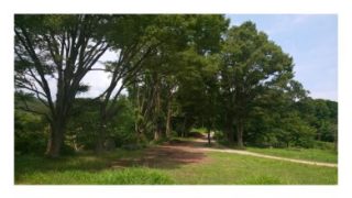 Thumbnail of post image 050