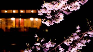 Thumbnail of post image 018