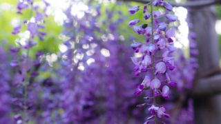 Thumbnail of post image 014