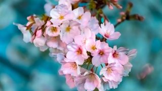 Thumbnail of post image 007