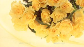 Thumbnail of post image 145