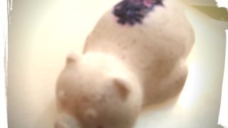 Thumbnail of post image 169