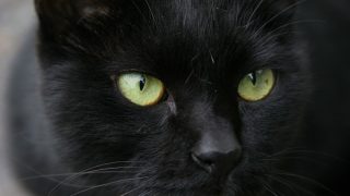 Thumbnail of post image 002