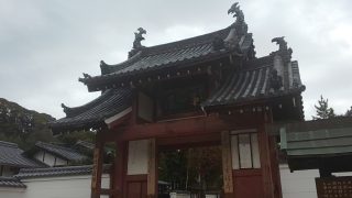 Thumbnail of post image 077