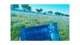 Thumbnail of post image 125