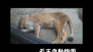 Thumbnail of post image 091