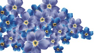 Thumbnail of post image 182