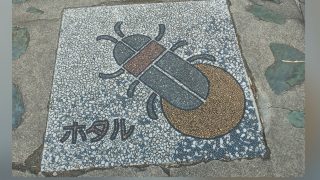 Thumbnail of post image 038