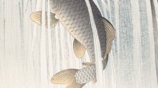 Thumbnail of post image 124