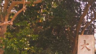 Thumbnail of post image 029