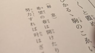 Thumbnail of post image 111