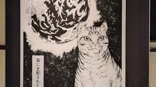 Thumbnail of post image 028