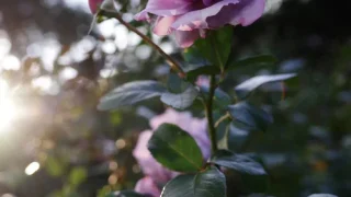 Thumbnail of post image 036