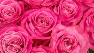 Thumbnail of post image 003