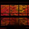 瑠璃光院の紅葉(京都府)の情報｜ウォーカープラス