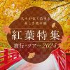 【関西（近畿）エリア 紅葉 2024】おすすめのスポット・名所・見頃の時期も紹介｜阪急